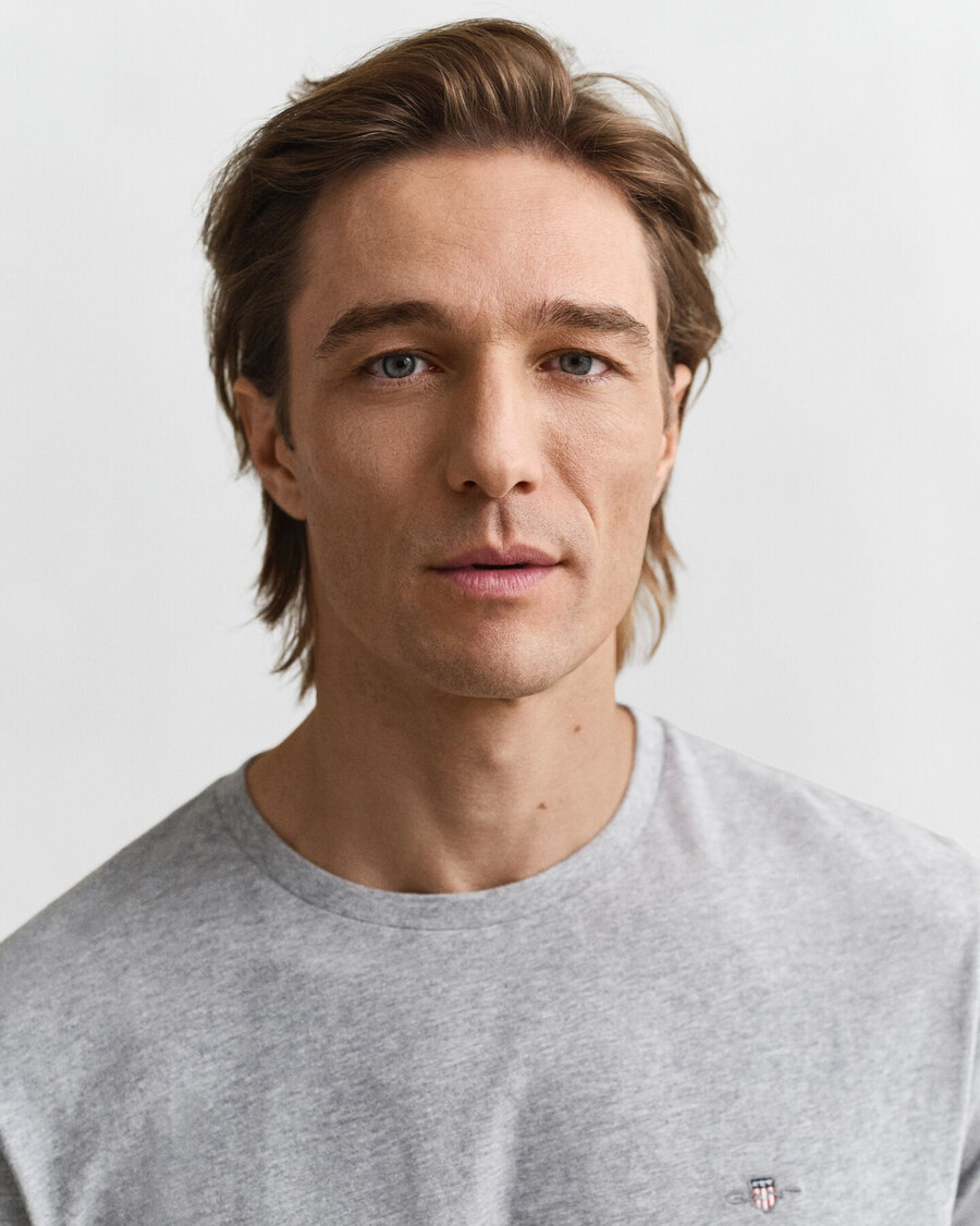 regular fit shield t-shirt – graumeliert