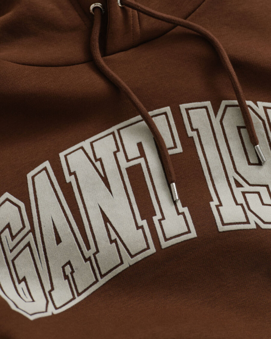 hoodie mit grafikprint – mahagonibraun