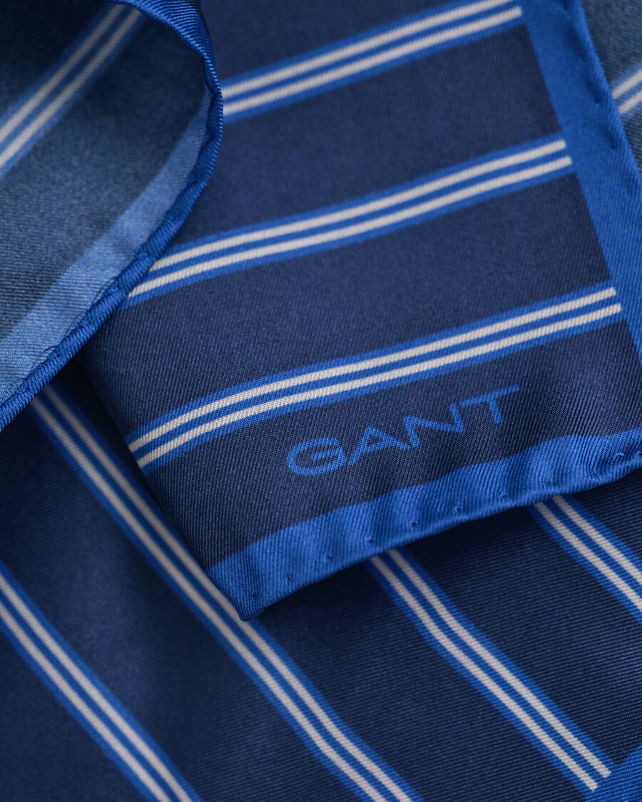 gestreiftes einstecktuch – marineblau